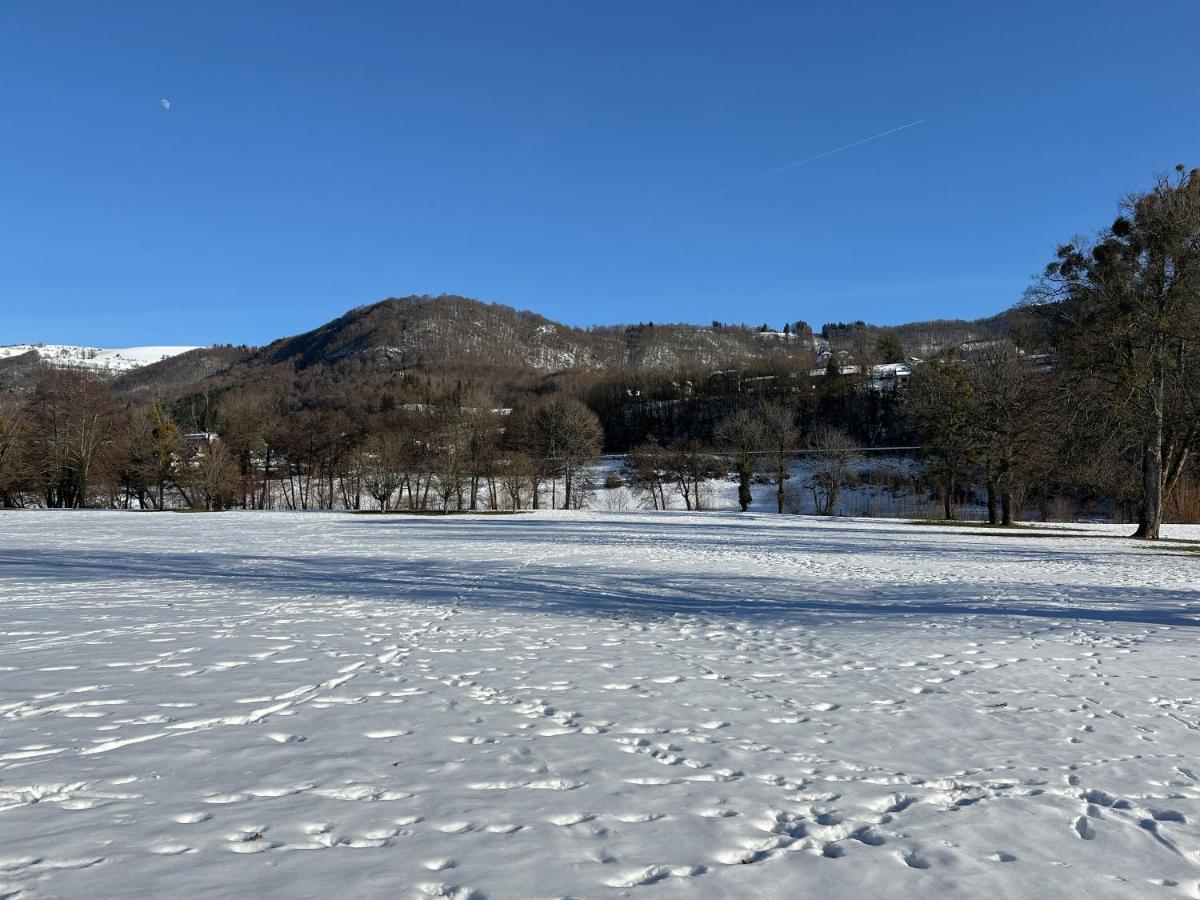 Belle Maison De Ville Au Coeur Du Village De Montagne Vic-sur-Cère Exteriör bild