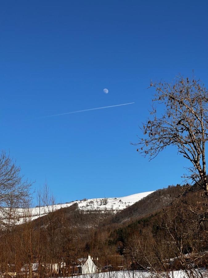 Belle Maison De Ville Au Coeur Du Village De Montagne Vic-sur-Cère Exteriör bild