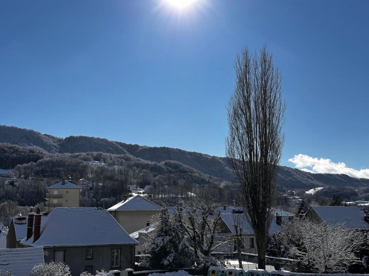 Belle Maison De Ville Au Coeur Du Village De Montagne Vic-sur-Cère Exteriör bild